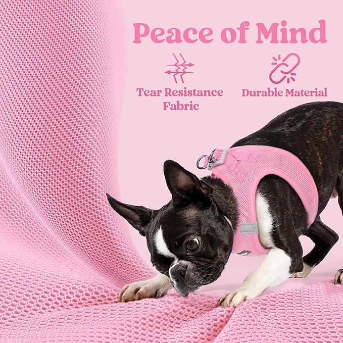 rabbitgoo Small Dog Harness, Step-in Soft Mesh Puppy Vest with Safety Buckle, Breathable Reflective Pet Harness for Small Sized Dogs, Light Pink M