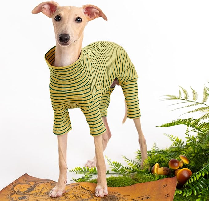 Dog Sweaters for Small Dogs Girls Boys, Striped Pet Sweaters for Fall Winter Dog Clothes, Turtleneck Pullover Knitwear for Small Medium Large Dogs