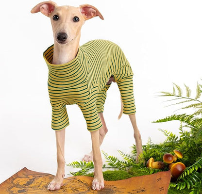 Dog Sweaters for Small Dogs Girls Boys, Striped Pet Sweaters for Fall Winter Dog Clothes, Turtleneck Pullover Knitwear for Small Medium Large Dogs