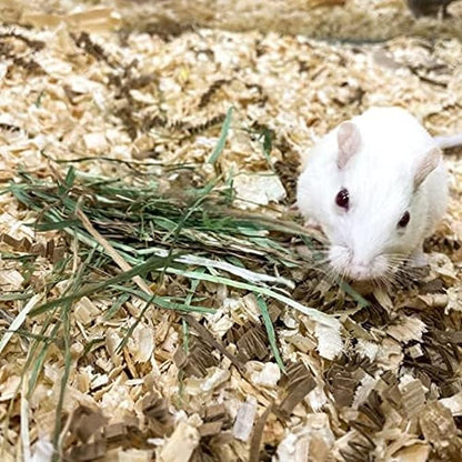 Blue Mountain Hay | Fresh Organic Oat Hay (48 Ounce) | Good for Sensitive Digestion | High-Altitude Hay Pet Food for Rabbits, Guinea Pigs, Chinchillas, Hamsters, and Other Small Pets