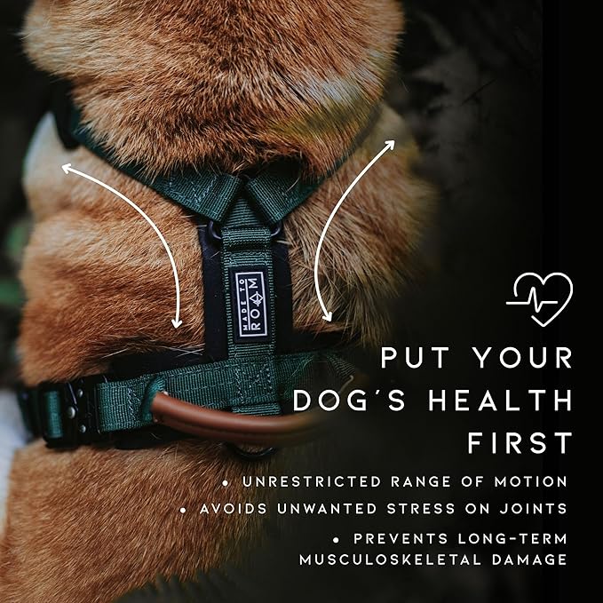MADE TO ROAM Premium Explorer Harness - Y-Shaped Dog Harness with Adjustable Durable Nylon, Soft Padding, Metal Buckles and Leather Handle for Small, Medium, Large Dogs (Nevada Evening, Size 7)