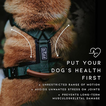 MADE TO ROAM Premium Explorer Harness - Y-Shaped Dog Harness with Adjustable Durable Nylon, Soft Padding, Metal Buckles and Leather Handle for Small, Medium, Large Dogs (Nevada Evening, Size 7)