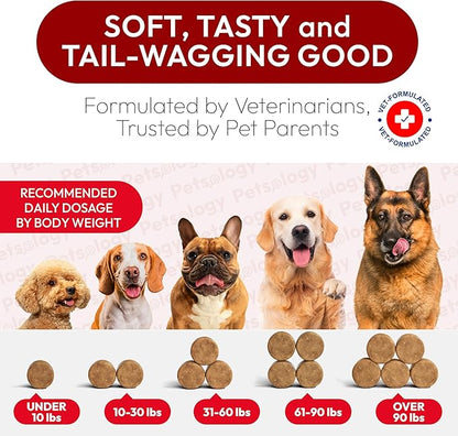 Dog UTI Treatment - 170 Cranberry Chews for Dogs - Urinary Tract Infection, Bladder & Kidney Health Multivitamin - Cranberry Supplement for Dogs with D-Mannose - Dog Vitamins and Supplements