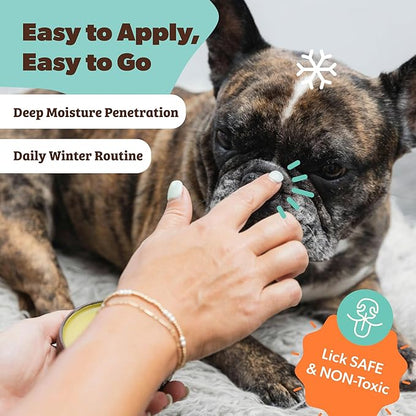 Natural Dog Company Snout Soother Balm – Dog Nose Balm for Dry Cracked Snouts, Moisturizing Winter Nose Care with Coconut Oil & Shea Butter, Lick Safe Dog Snout Balm for All Breeds, 2 oz Stick