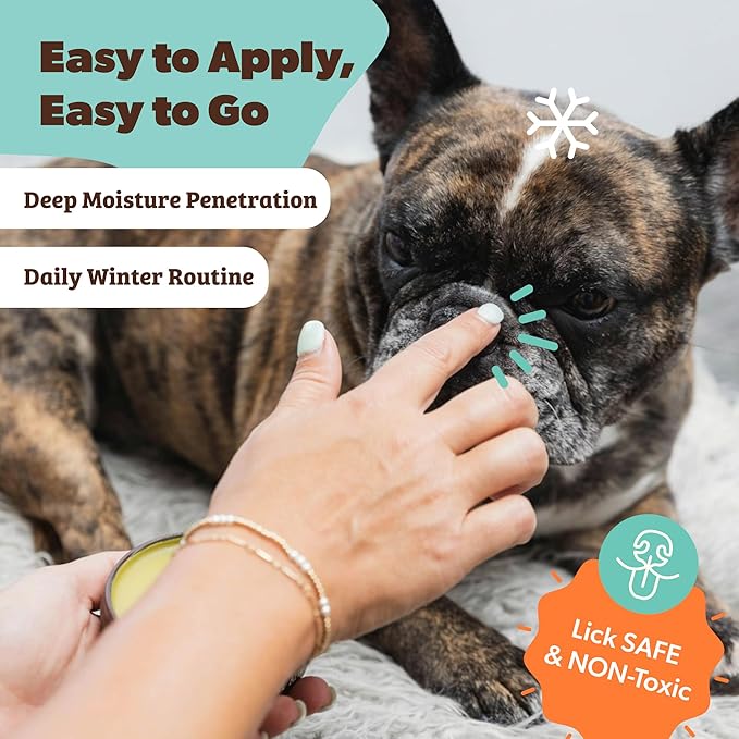 Natural Dog Company Snout Soother Balm – Dog Nose Balm for Dry Cracked Snouts, Moisturizing Winter Nose Care with Coconut Oil & Shea Butter, Lick Safe Dog Snout Balm for All Breeds, 4 oz Tin
