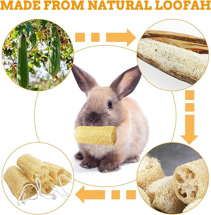 Apatal 12 Pcs Rabbit Chew Toys Natural Bunny Loofah Chew Toy Chinchilla Teeth Grinding Toys Guinea Pig Fibre-Rich Treats Enrichment Bunny Accessories for Rabbits Hamster (S)
