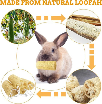 Apatal 12 Pcs Rabbit Chew Toys Natural Bunny Loofah Chew Toy Chinchilla Teeth Grinding Toys Guinea Pig Fibre-Rich Treats Enrichment Bunny Accessories for Rabbits Hamster (S)
