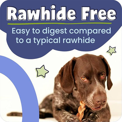 Pawstruck All-Natural 9" Bully Sticks for Dogs - Long Lasting, Rawhide-Free, Low Odor & Grain-Free Dental Chew Treat - Healthy Single Ingredient, 100% Real Beef - 1 lb Bag