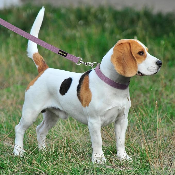 Plutus Pet Cotton Hemp Dog Collar and Leash Set, Adjustable Collar for Small, Medium, and Large Dogs, Heavy Duty and Soft on Skin, Lavender, XL