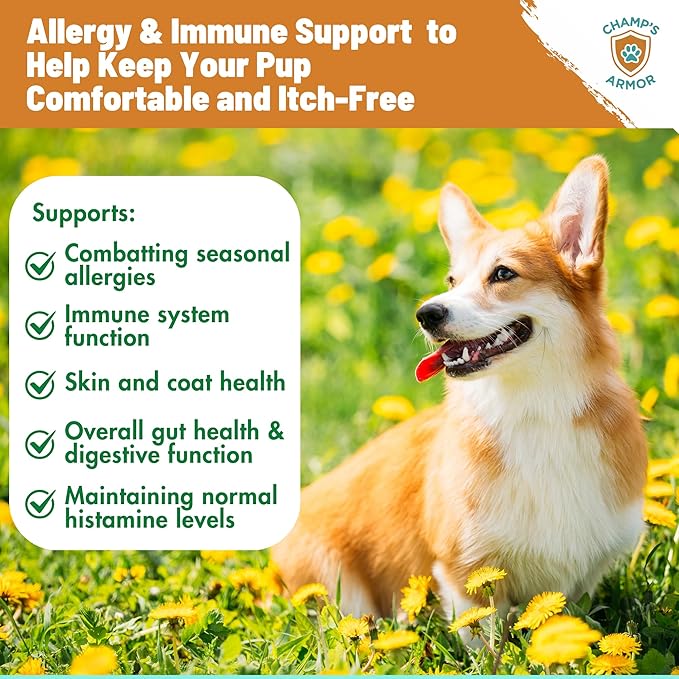 Champ's Armor Allergy & Immune Soft Chews for Dogs. Daily Support for Itchy Skin, Immune Health, Seasonal Allergies. W/Colostrum, Salmon Oil, Probiotics, Quercetin, Turmeric. 120 ct.