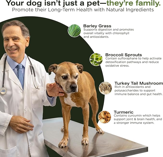 The Vet's Dog Immune Support DNA Defense Chews, Dog Allergy and Immune Chews + Hip and Joint Supplement for Dogs, Organic Turkey Tail Mushroom, Turmeric, Barley Grass, Chicken Liver Flavor (30 Count)