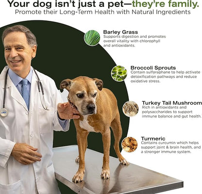 The Vet's Dog Immune Support DNA Defense Chews, Dog Allergy and Immune Chews + Hip and Joint Supplement for Dogs, Organic Turkey Tail Mushroom, Turmeric, Barley Grass, Chicken Liver Flavor (30 Count)