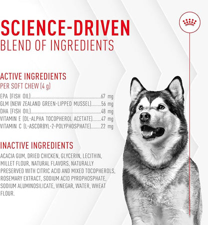 Royal Canin Joint Dog Supplement Soft Chews for Adult Dogs, 60 Count (Pack of 3)
