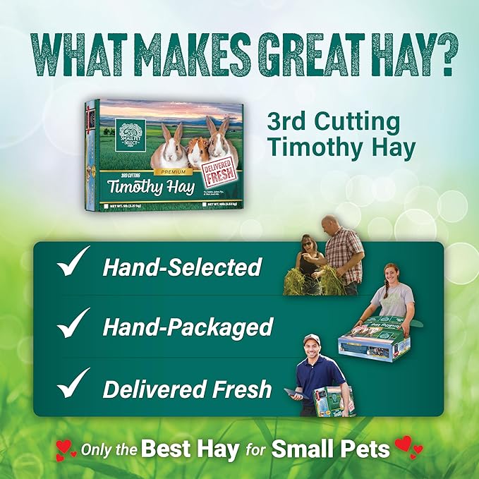 Small Pet Select 3Rd Cutting "Super Soft" Timothy Hay Pet Food, 2 Lb., green, 2 Pound (Pack of 1), 32 Ounce