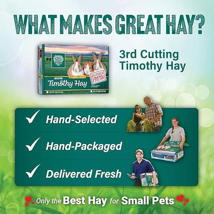 Small Pet Select 3Rd Cutting "Super Soft" Timothy Hay Pet Food, 2 Lb., green, 2 Pound (Pack of 1), 32 Ounce