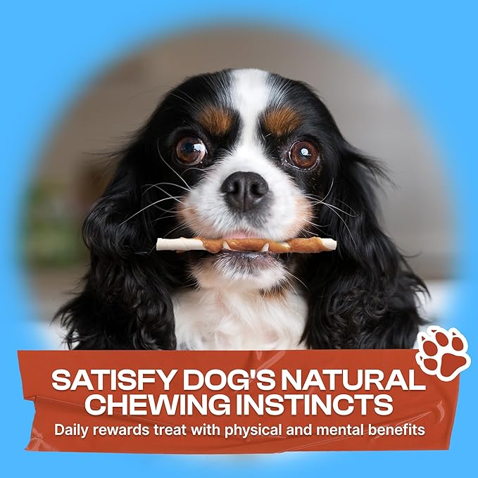 PETPHABET Chicken Wrapped Rawhide Dog Treats - Hide Twists Sticks for Chew, Natural Pet Snack for Small Puppy Traning and Dental Healthy, Chicken Flavor, 5 Inch, 30 Count