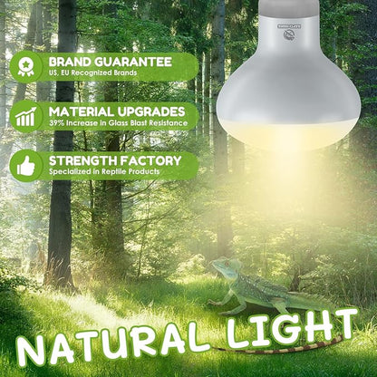 REPTI HOME Reptile Heat Lamp Bulbs, Simulate Natural Sunlight Heat Light Bulb, 2 Pack 100W Amphibian Terrarium Basking Spot Lamp for Reptile, Bearded Dragon, Lizard, Turtle, Snake