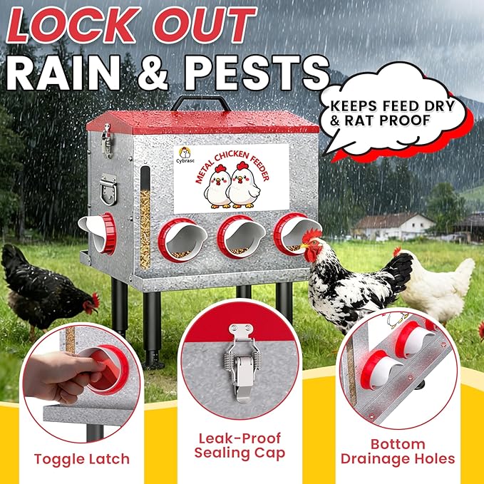 Cybrasc 10-Gal 55LB Metal Chicken Feeder with Window, Dual No-Waste & Rat-Proof Design, Automatic Large Chicken Feeder for Outdoor Coops, Rust-Proof Alloy Steel Poultry Feeder with Adjustable Legs