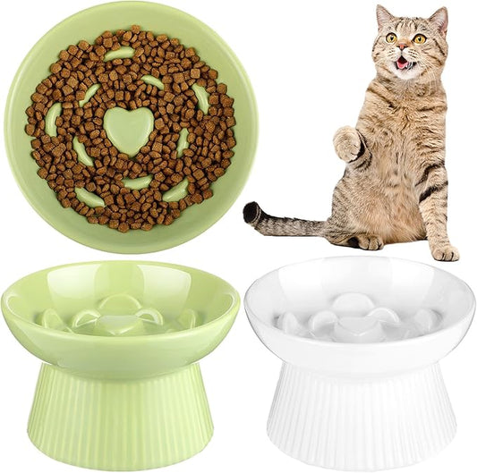 Tioncy 2 Pcs Raised Cat Slow Feeder Bowl Ceramic Elevated Cat Dog Food Bowl No Spill High Edge for Dry Wet Food and Water Easy to Clean, Dishwasher Safe(White, Green)