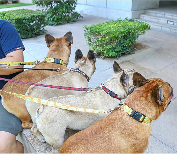 iChoue Original Print French Bulldog Collar Adjustable with Locked Buckle for Frenchie Pug English Boston Terrier Dogs, Kiwi Fruit, Small
