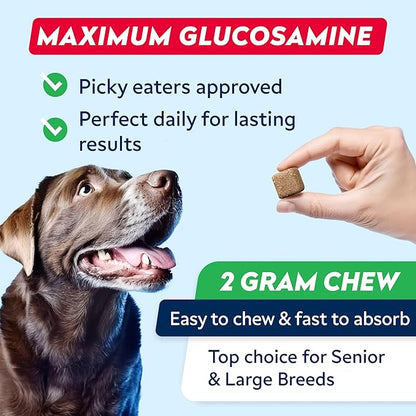 Advanced Glucosamine Hip & Joint Supplement for Senior Dogs - Green Lipped Mussel & Collagen - Hip & Joint Pain Relief - Large & Small Breed - Joint Health - Bacon - 120 Chews