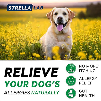 STRELLALAB Dog Allergy Relief & Anti Itch Support Chews w/Omega 3: Real Ingredients, Real Taste! Skin & Coat Immune Supplement w/Fish Oil, Pumpkin & Enzymes - Made in USA - 240 Chews