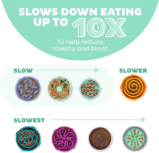 Outward Hound Small Fun Feeder Slow Bowl, Puzzle for Fast Eaters, Puppies, Cats & Small Dogs, Wet or Dry Food, Helps Prevent Bloat & Aid Digestion, 3/4 Cup Capacity, Non-Slip, Made Without BPA, Mint