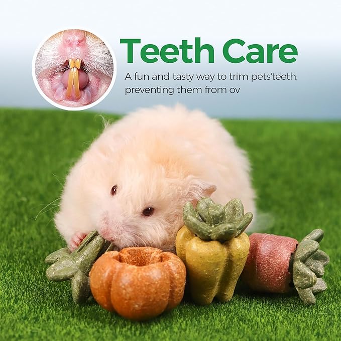 TEEWY Guinea Pig Chew Toys, Natural Vegetables and Timothy Grass, Hamster Chew Toys, Prevents Excessive Tooth Growth in Chinchillas, Gerbils, Hamsters, and Rabbits, Fruits & Vegetables Set