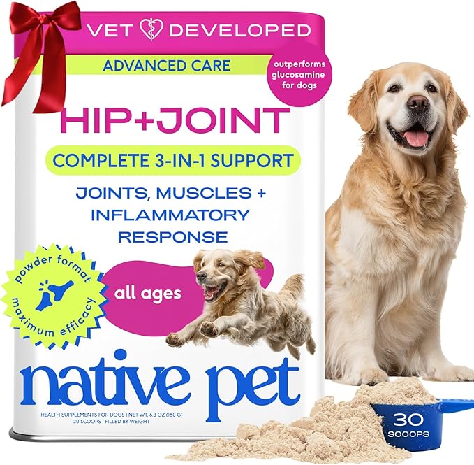 Native Pet Advanced Care - Hip & Joint Supplement for Dogs - Supports Joints, Cartilage, Muscles & Anti-Inflammatory with HMB, UC-II Collagen, Green Lipped Mussel & Hyaluronic Acid - 30 Scoops