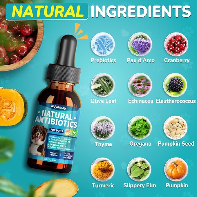 Antibiotics for Dogs | Natural Dog Antibiotics for Allergy Relief, Itch Relief, Coughs, Skin Health, Breath Treatment, Digestion | Herbal Supplement to Care for Ears, Eyes & Coat, 2 Fl Oz