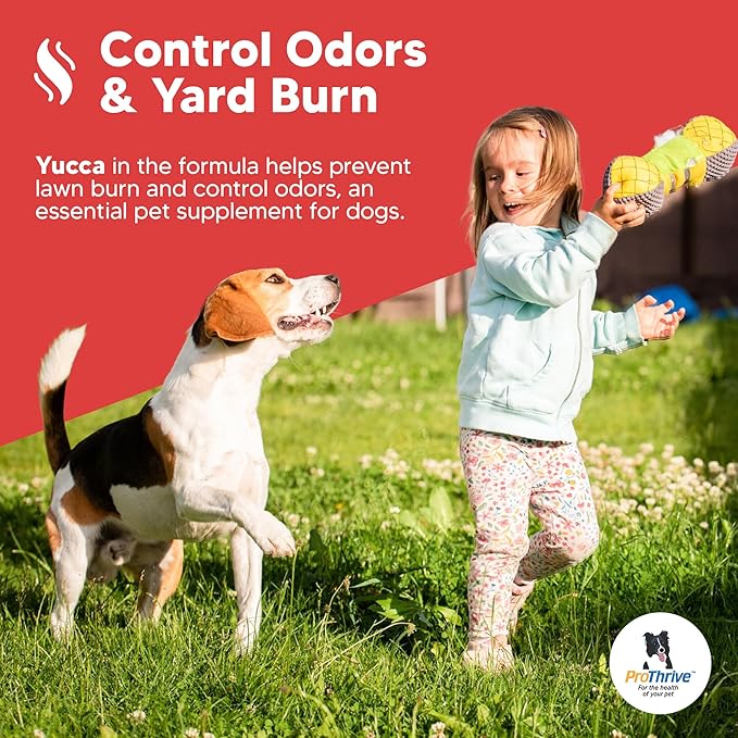 Spunky Level II Hip and Joint Supplement for Dogs, Glucosamine for Dogs with MSM, Dog Vitamins and Supplements Helps Digestion, Dog Joint Supplement - 1LB