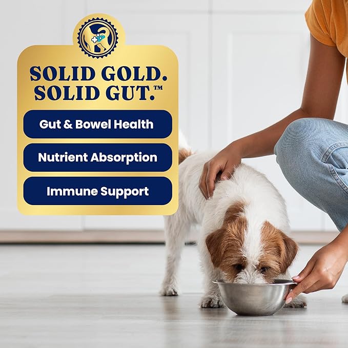 Solid Gold Wet Dog Food for Small Dogs - Grain Free Small Dog Food Wet Recipe w/Real Lamb, Superfoods & Vitamins for Gut Health & Immune Support - for Puppies, Adult & Senior Breeds - 12ct 3.5oz Cups