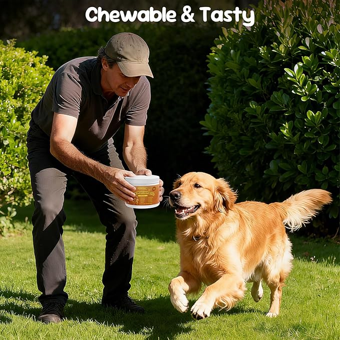 Multivitamin for Dogs - All-in-One Daily Supplement | Supports Joint, Heart, Skin, Digestion, Immune System & Liver Health (120 Chews Chicken)