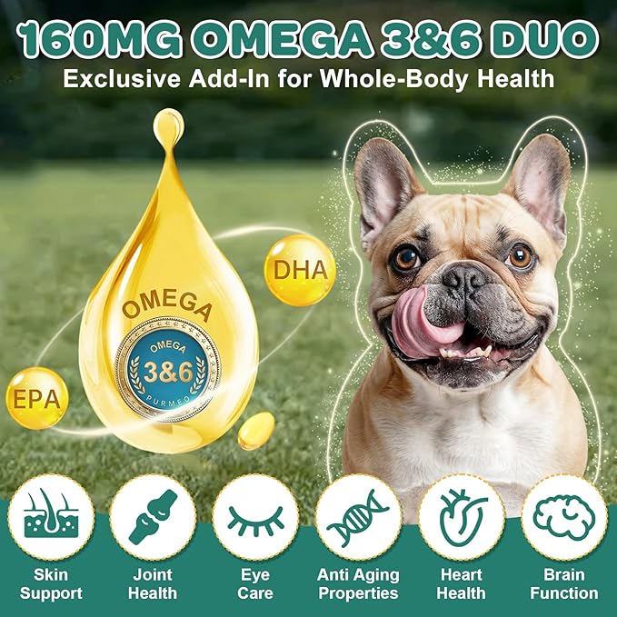 Probiotics for Dogs, Dog Probiotics with Digestive Enzymes, Prebiotics, Omega-3 & 6 and Vitamin for Dogs Digestive Health, 6 Billion CFUs for Gut Health and Immune Support, 180 Freeze-Dried Chews