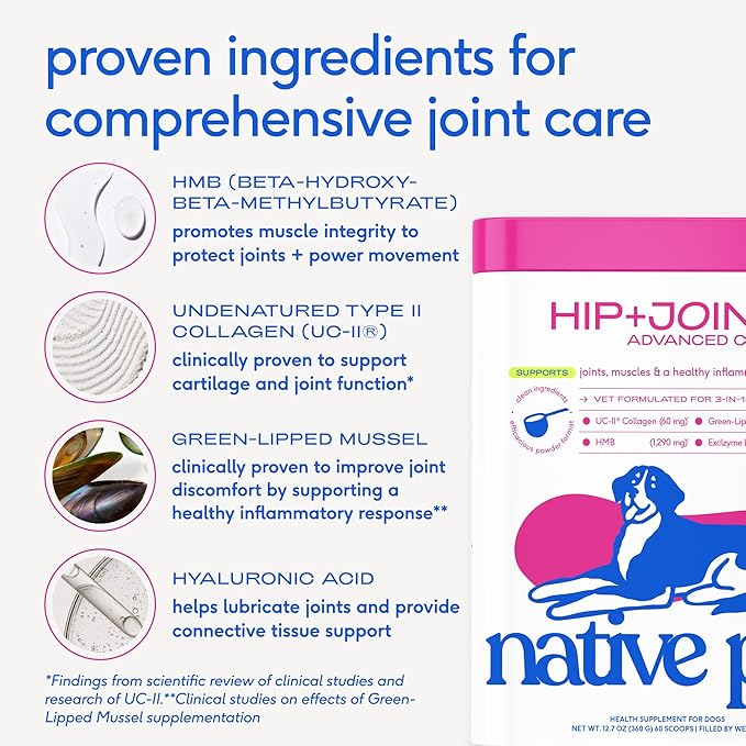 Native Pet Advanced Care - Hip & Joint Supplement for Dogs - Supports Joints, Cartilage, Muscles & Anti-Inflammatory with HMB, UC-II Collagen, Green Lipped Mussel & Hyaluronic Acid - 60 Scoops