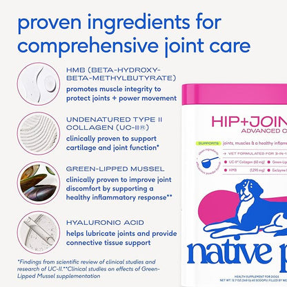 Native Pet Advanced Care - Hip & Joint Supplement for Dogs - Supports Joints, Cartilage, Muscles & Anti-Inflammatory with HMB, UC-II Collagen, Green Lipped Mussel & Hyaluronic Acid - 60 Scoops