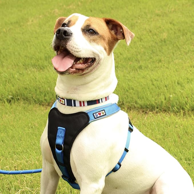 Pawtitas Pet Soft Adjustable Solid Color Nylon Puppy/Dog Collar can be Personalized Large Red/White/Blue