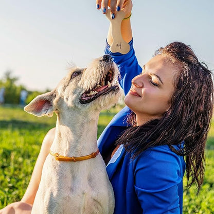 Wildfang® Leather Dog Toy, Medium - Leather Bone for Teething Dog, Dental Toys for Puppies, Training for Chewing Muscles, Puppy Chew Bones for Light or Medium Chewers (for Dogs 22-33 lbs), Pack of 1