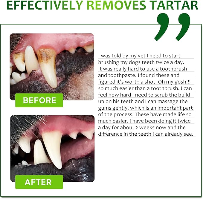 Dental Care Wipes for Dogs and Cats, 50 Count, Teeth and Gum Cleaning, Plaque and Tartar Removal