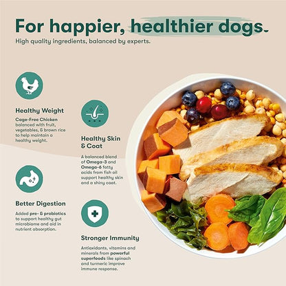 Jinx Premium Grain-Free Dry Dog Food, for All Lifestages - Real Chicken, Sweet Potato & Carrot Kibble with Superfoods for Immune Support & Probiotics for Digestive Support - No Fillers - 4lb