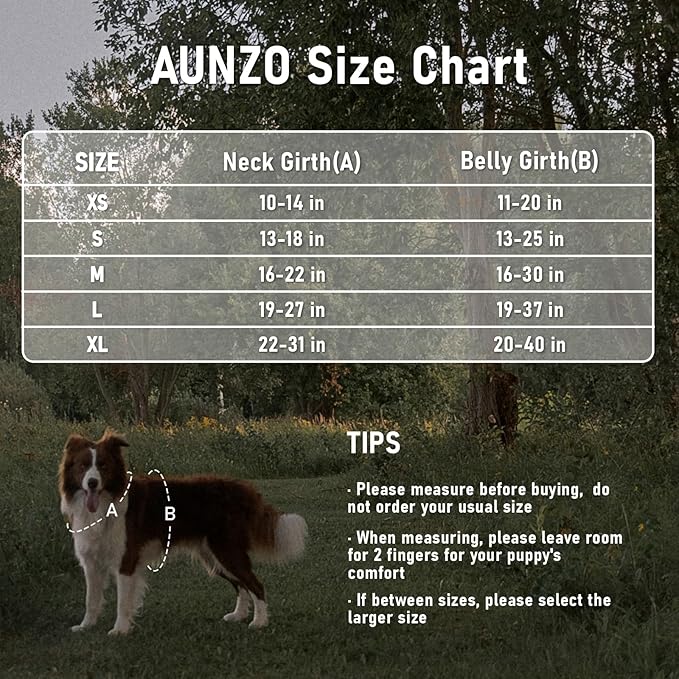 X-Large Dog Harness, No Pull Easy Walker Escape Proof Vest with Handle, Reflective Pet Harness with 2 Leash Clips and 3 Buckles, No Rub No Choke, Newfoundland Alaska German Shepherd Mastiffs, XL