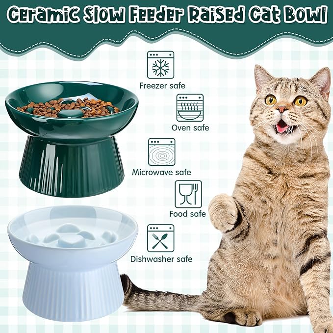 Tioncy 2 Pcs Raised Cat Slow Feeder Bowl Ceramic Elevated Cat Dog Food Bowl No Spill High Edge for Dry Wet Food and Water Easy to Clean, Dishwasher Safe(Dark Green, Blue)