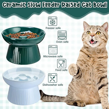 Tioncy 2 Pcs Raised Cat Slow Feeder Bowl Ceramic Elevated Cat Dog Food Bowl No Spill High Edge for Dry Wet Food and Water Easy to Clean, Dishwasher Safe(Dark Green, Blue)