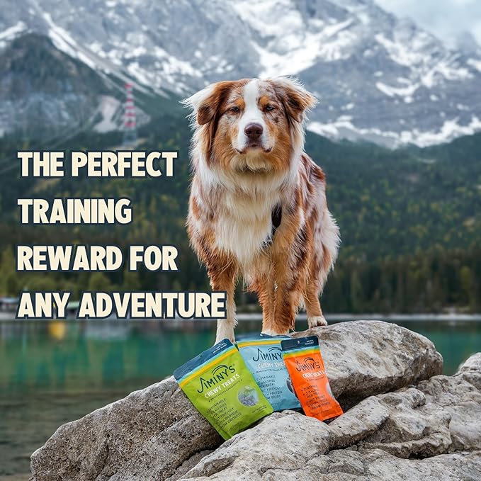 Jiminy's Chewy Cricket Dog Training Treats, Low Calorie, Hypoallergenic, Made in USA, 6oz, Variety Pack (Pack of 3)