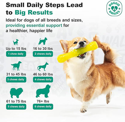 Doggie Dailies, Hip and Joint Supplement for Dogs, Glucosamine Chondroitin, Premium Hip and Joint Chews for Dogs All Breeds & Sizes, Dog Vitamins and Supplements, (Peanut Butter) 225 Chews