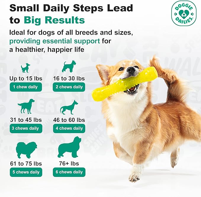 Doggie Dailies, Hip and Joint Supplement for Dogs, Glucosamine Chondroitin, Premium Hip and Joint Chews for Dogs All Breeds & Sizes, Dog Vitamins and Supplements, (Chicken) 225 Chews