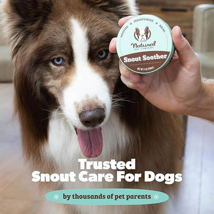 Natural Dog Company Snout Soother Balm – Dog Nose Balm for Dry Cracked Snouts, Moisturizing Winter Nose Care with Coconut Oil & Shea Butter, Lick Safe Dog Snout Balm for All Breeds, 4 oz Tin