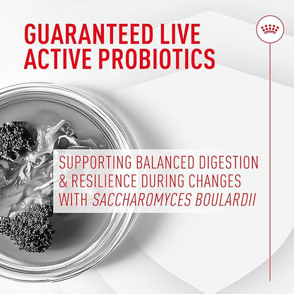 Royal Canin Probiotics for Dogs Digestive and Immune Health Powder Supplement for Dogs of All Ages, 30 Count