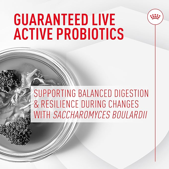 Royal Canin Probiotics for Dogs Digestive and Immune Health Powder Supplement for Dogs of All Ages, 30 Count (Pack of 2)