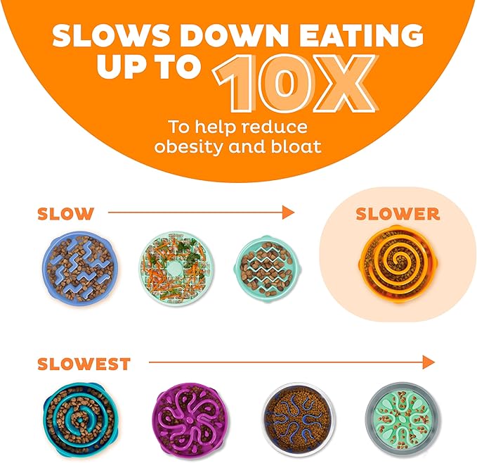 Outward Hound Medium Slow Feeder Bowl, Puzzle Maze for Fast Eaters, Small to Medium Dogs, Helps Prevent Bloat & Aid Digestion, Holds 2 Cups Wet or Dry Food, Non-Slip, Made Without BPA, Orange